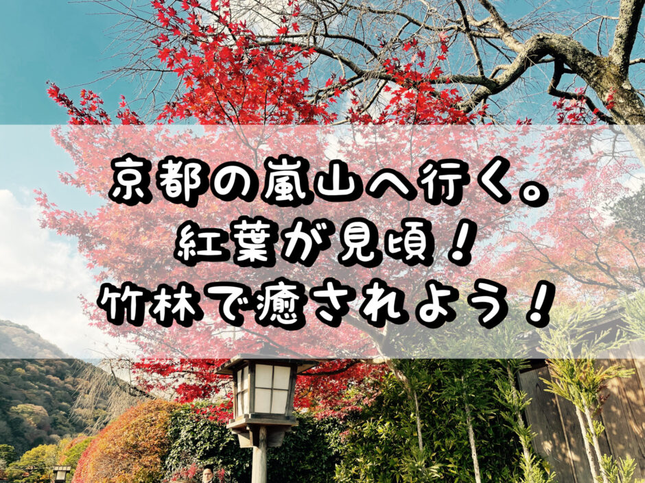 京都の嵐山へ行く。紅葉が見頃！竹林で癒されよう！